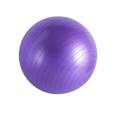 Yoga Balance Ball – Renforcement, Souplesse & Relaxation PINK COCO